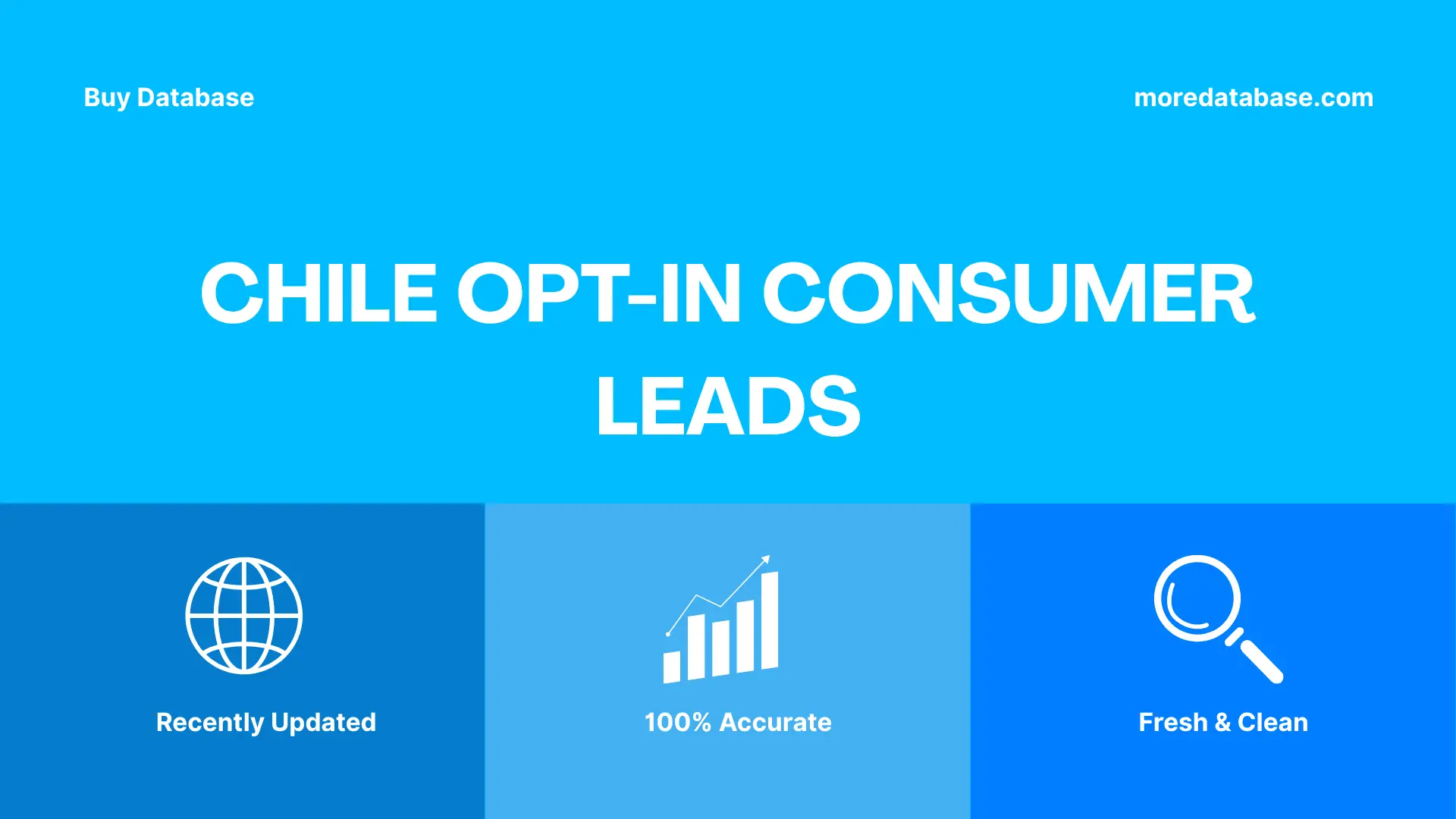 Chile Opt-In Consumer Leads